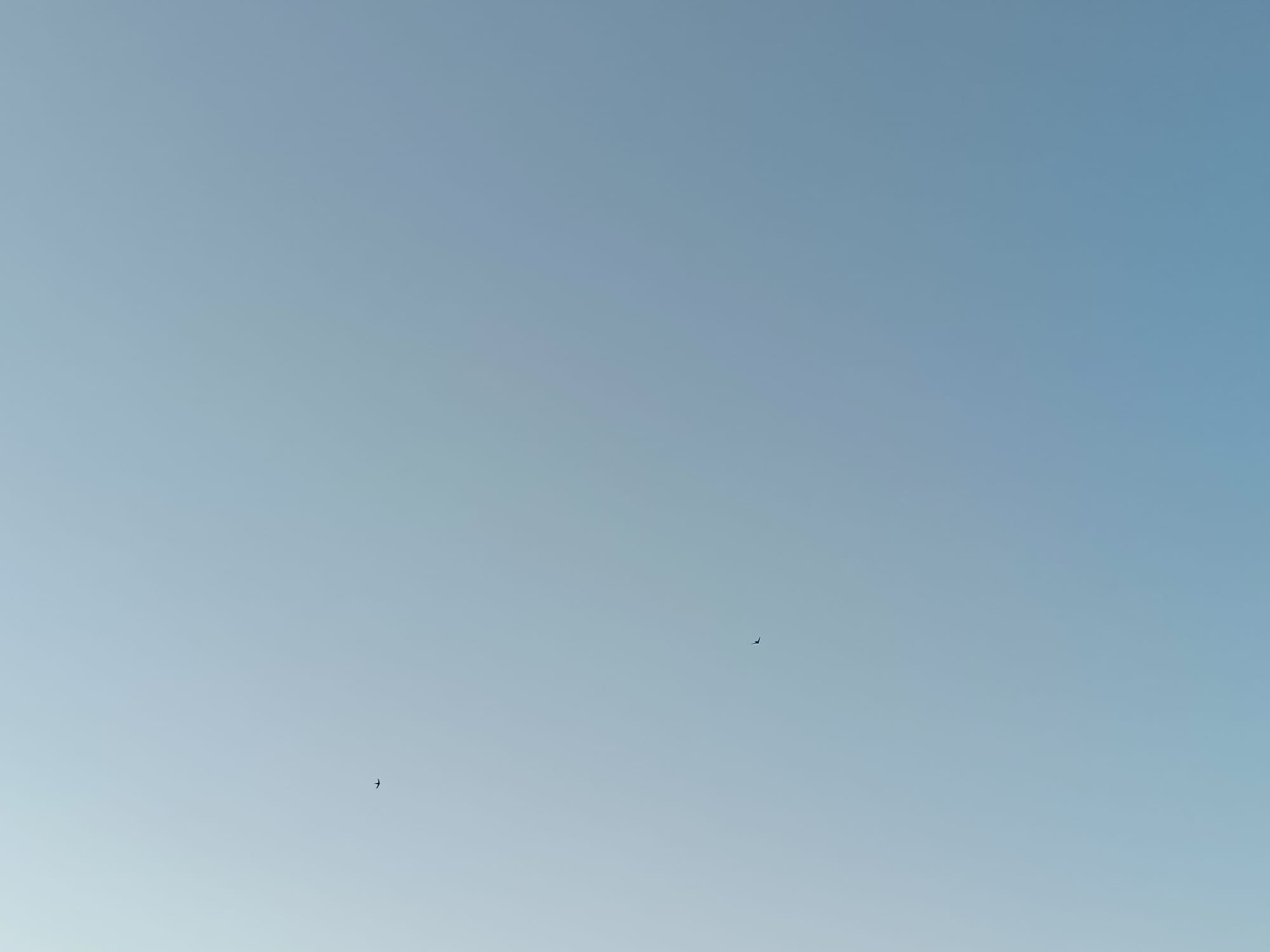 エレベーターを乗り換える