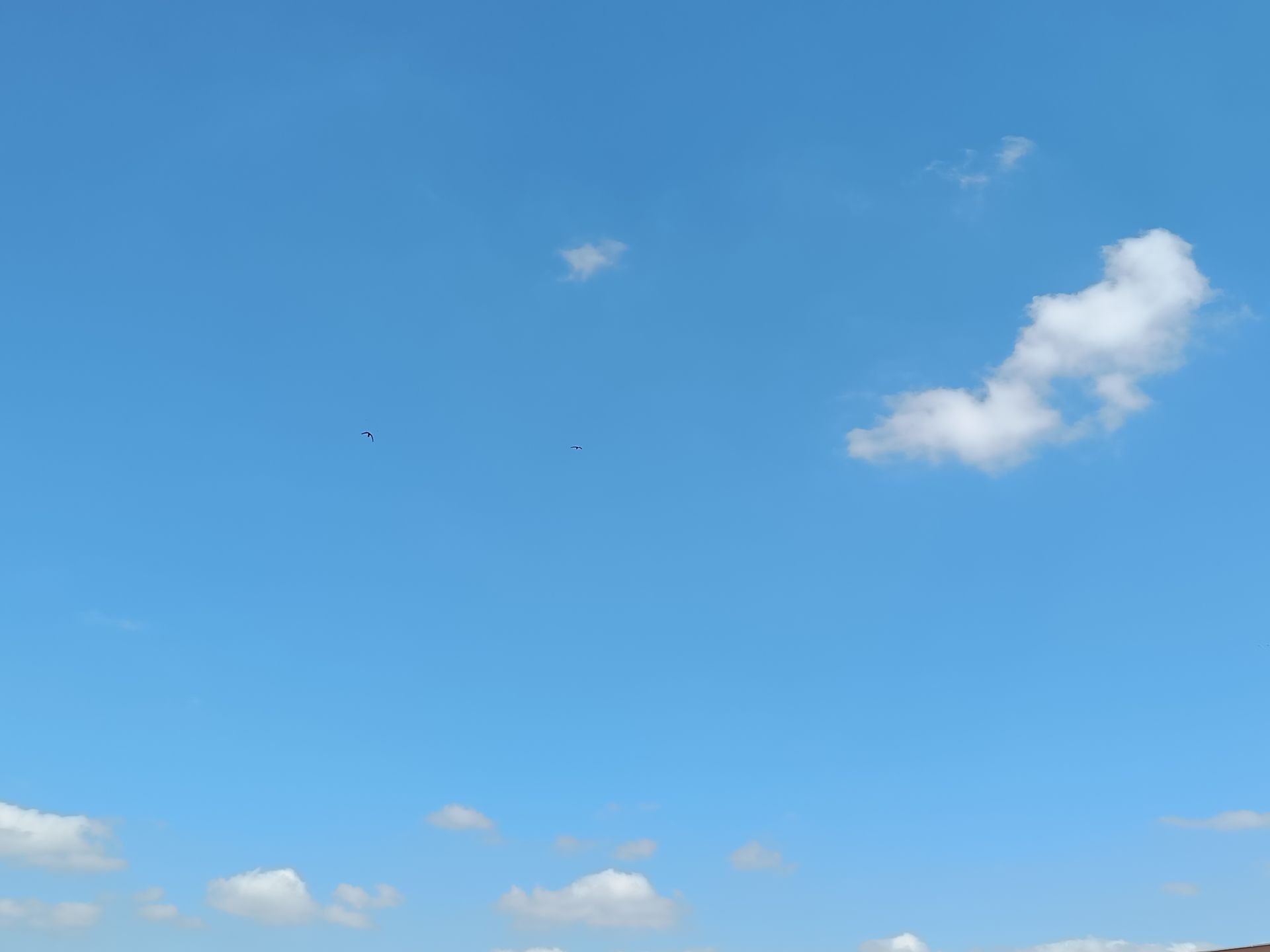 新しい大陸が浮上する