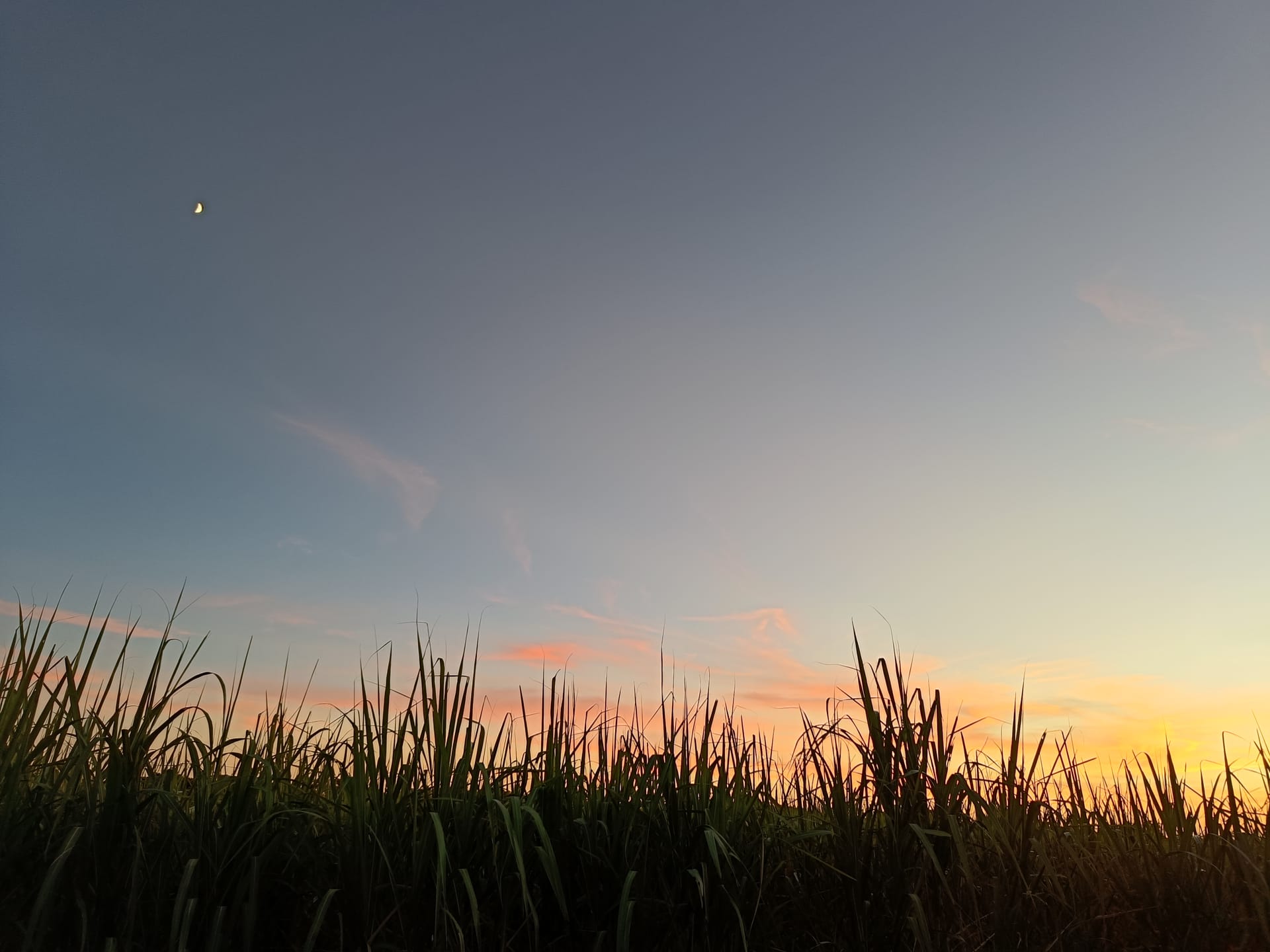 大吉くんに会いに