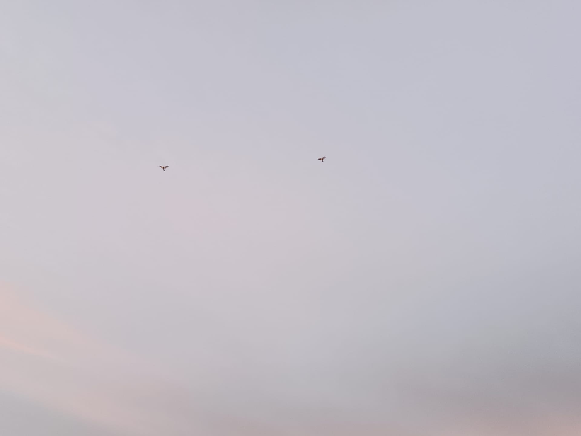 母の看取りの最中の思い出