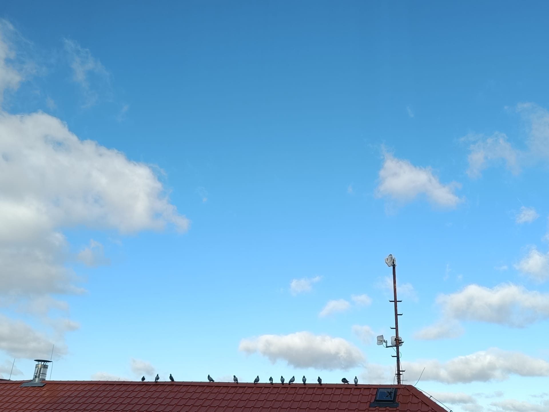 描くことに救われる日々