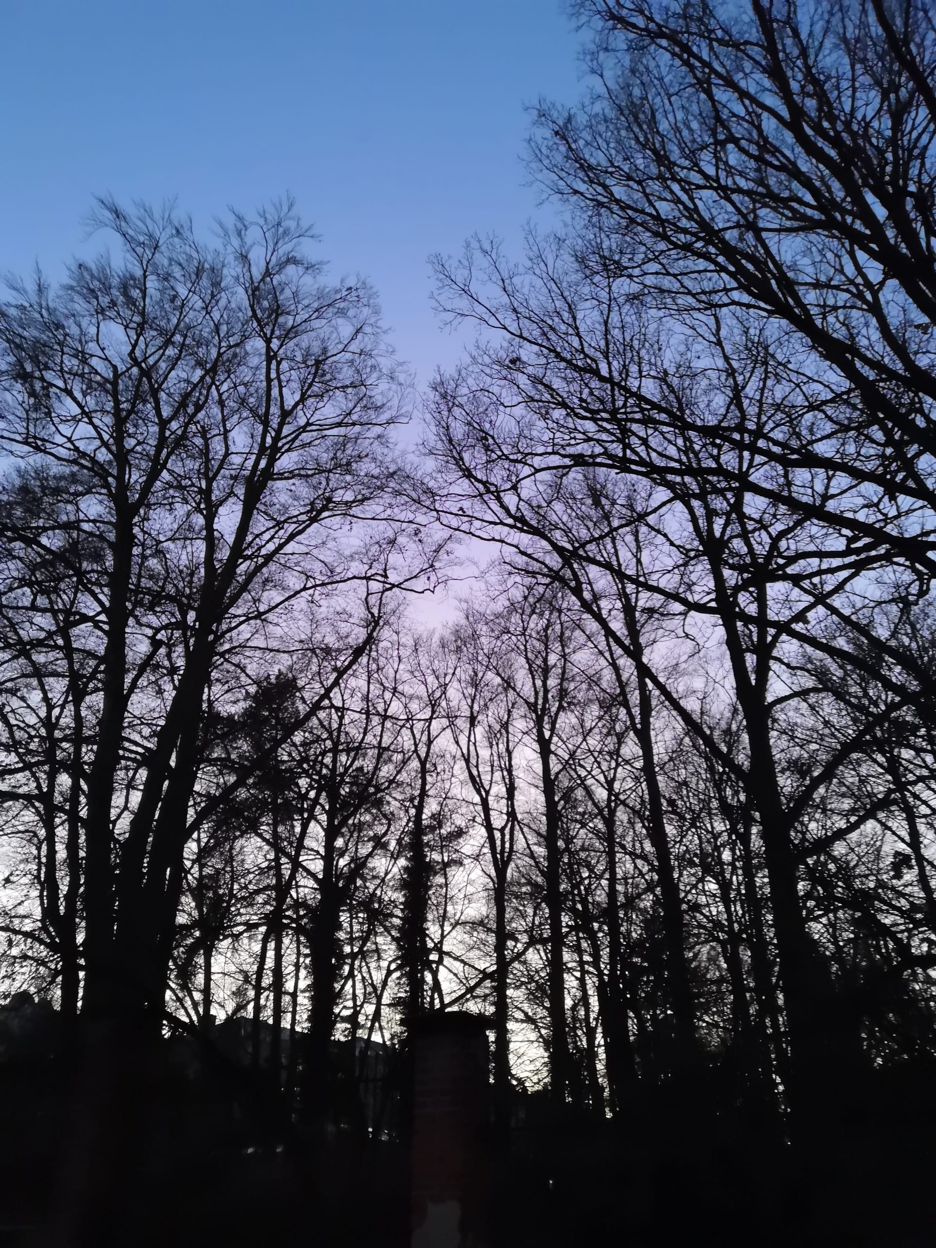 沈黙、余白、呼吸