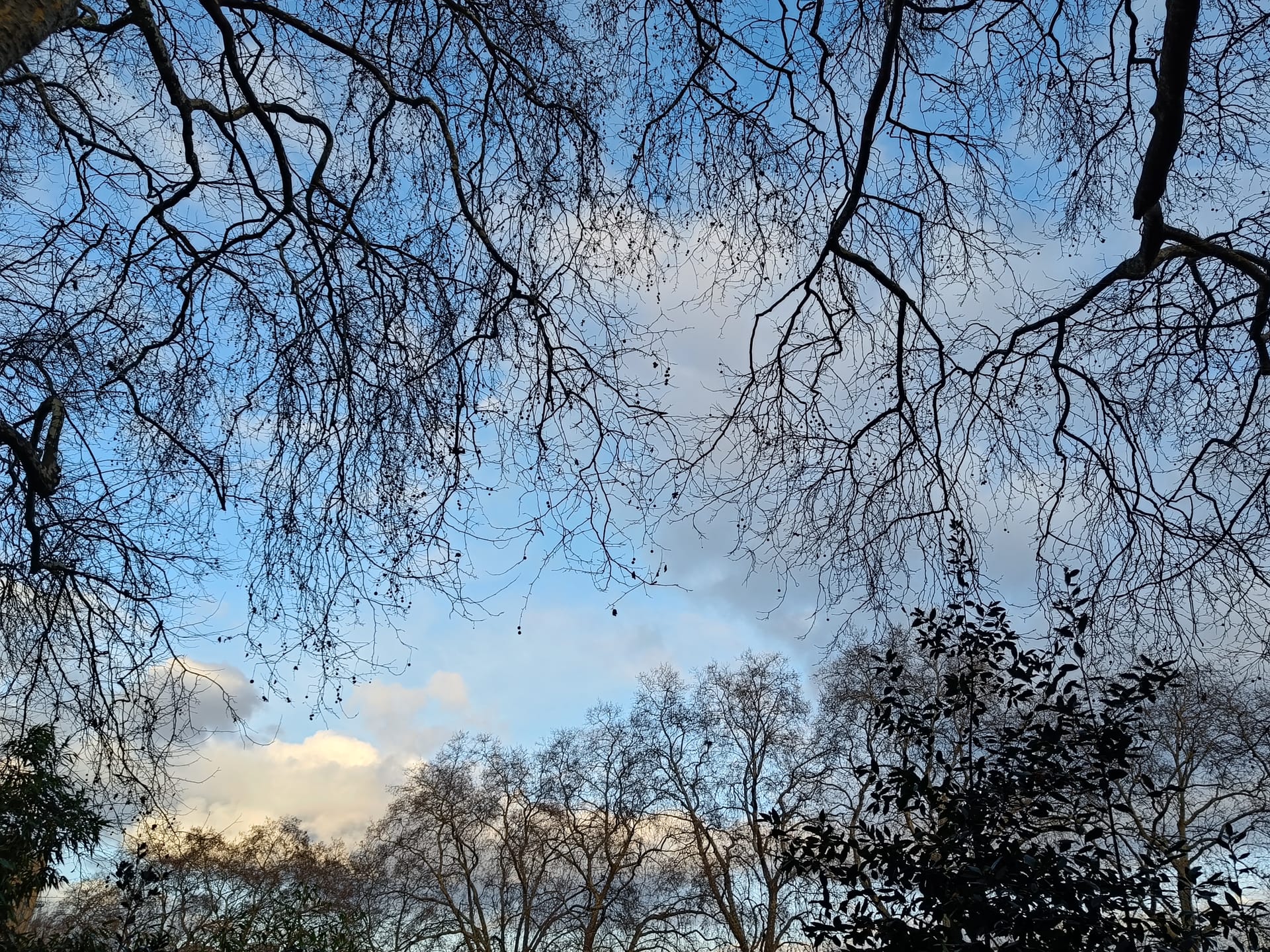 夢で言われたとおりに