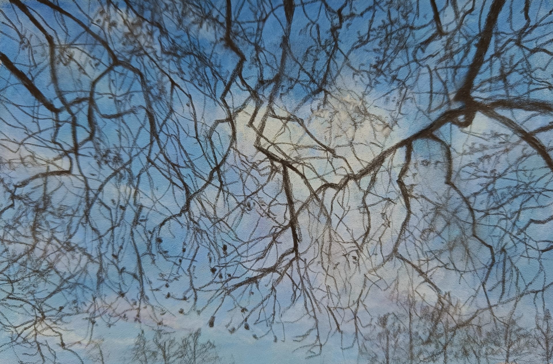 ヴィクトリア・タワー・ガーデンズで見上げた空