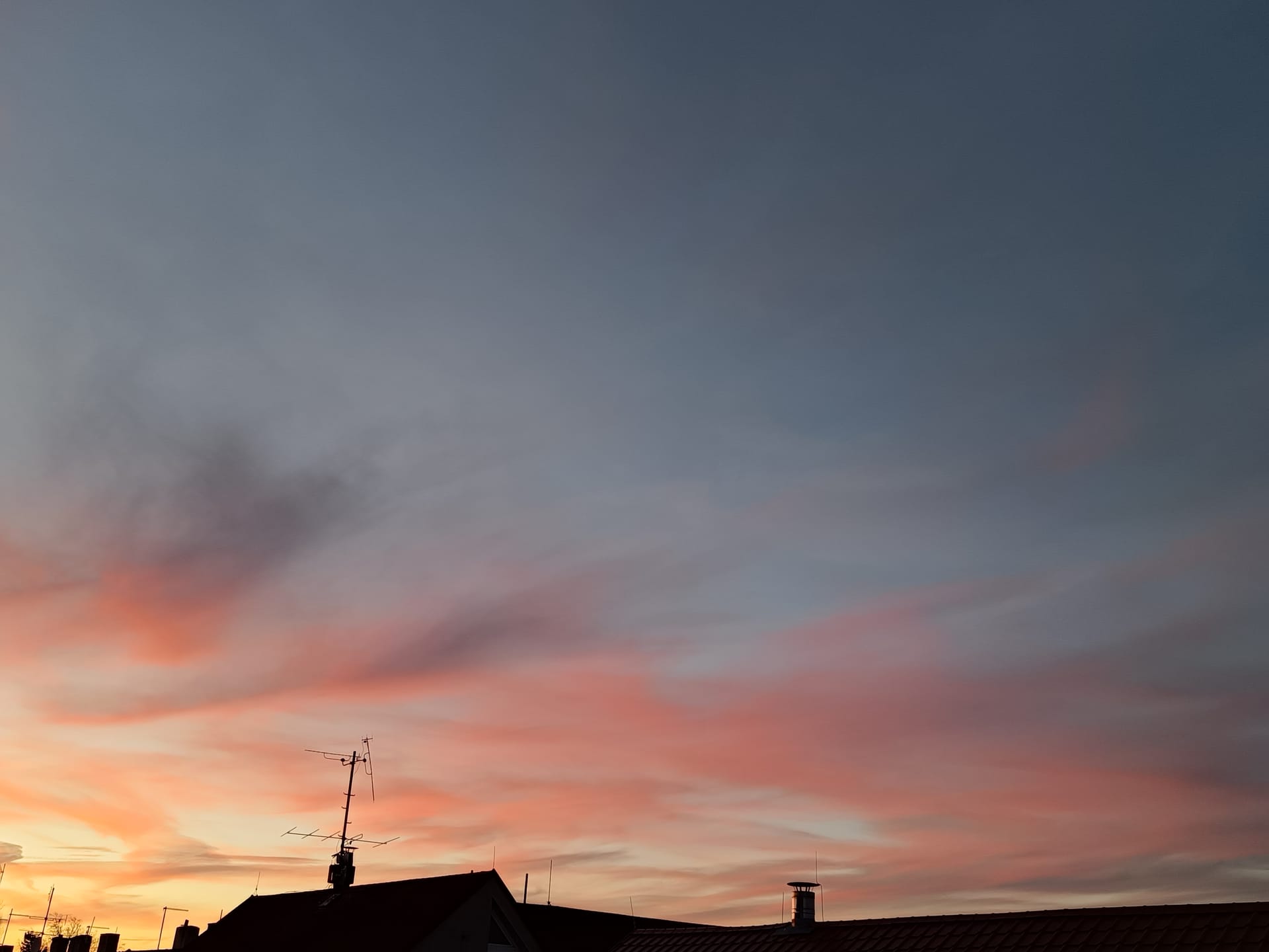 何を削り、どこを省くか