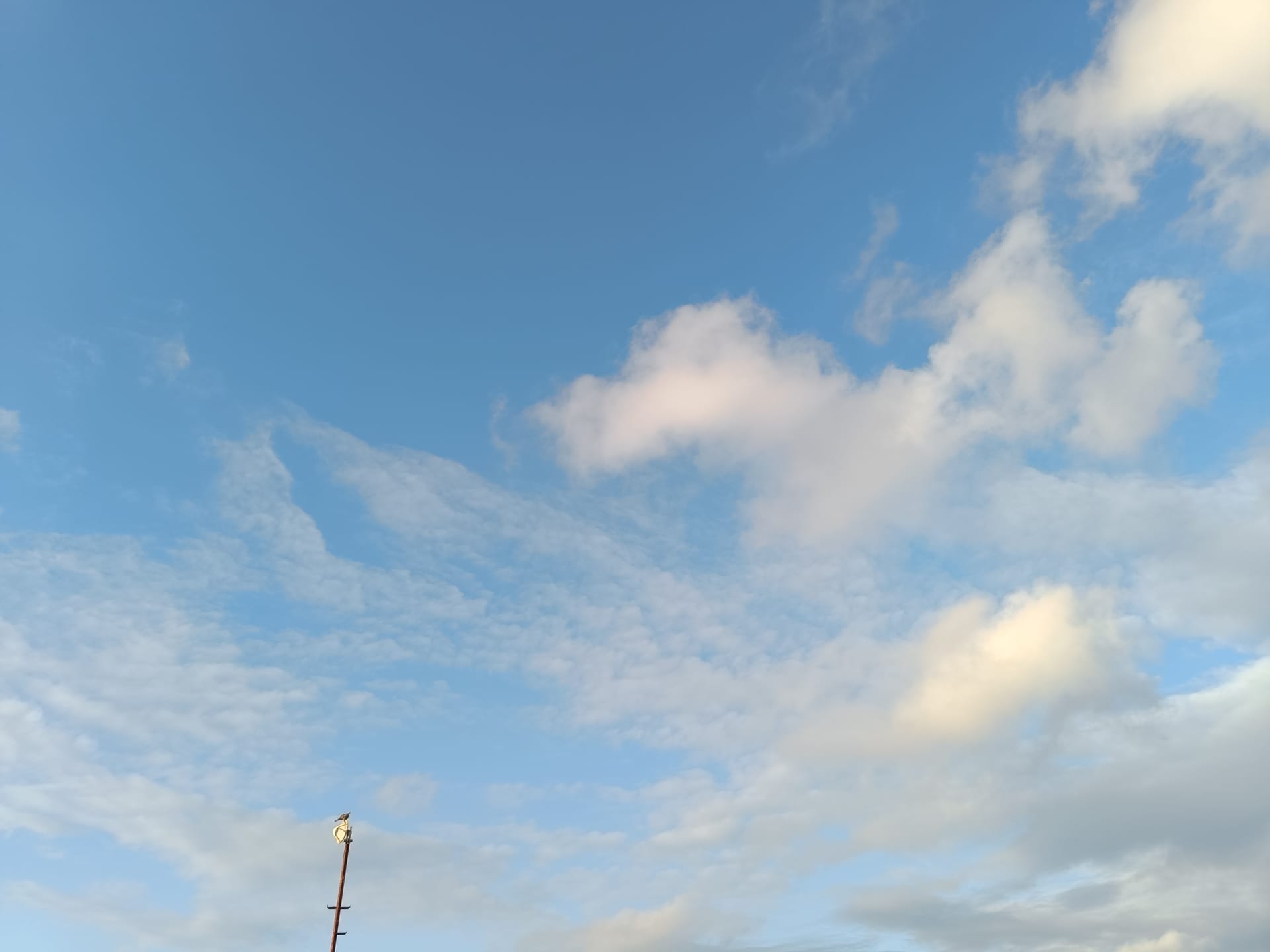 嘘は必ず滲み出る