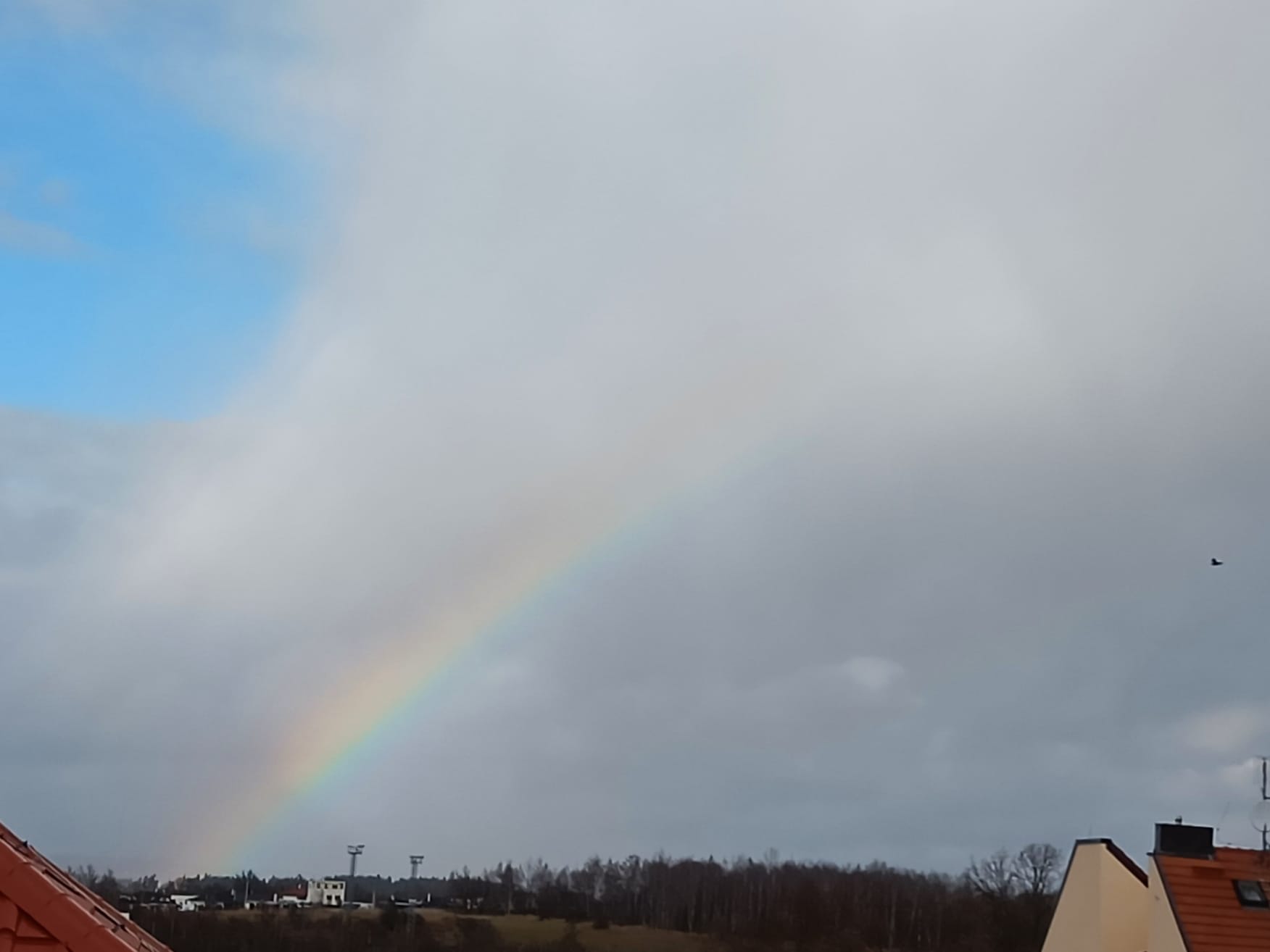 自己を通って普遍へ至る